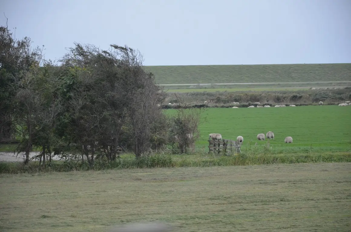 dsc_1107-copy